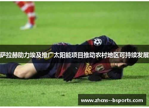 萨拉赫助力埃及推广太阳能项目推动农村地区可持续发展